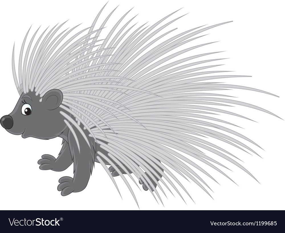 Тонкоиглый Дикобраз