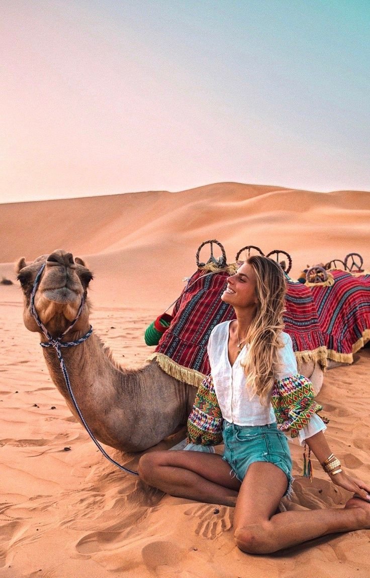 Тунис верблюд пустыня