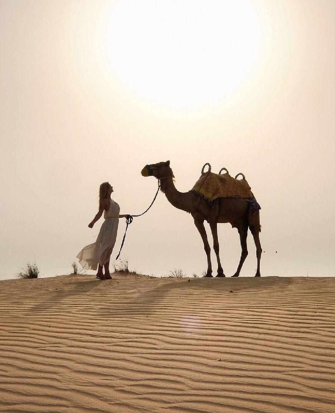 Девушка на верблюде