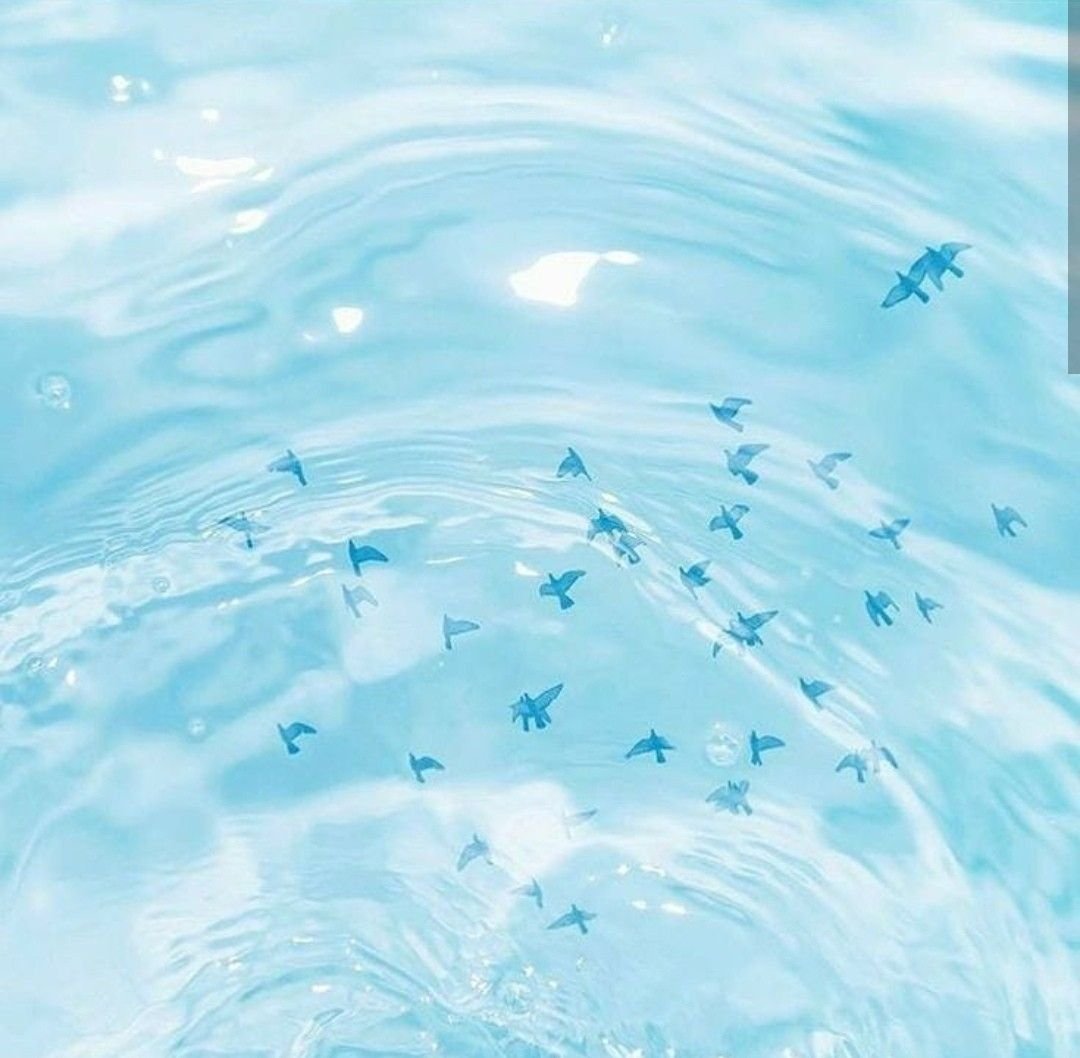 Фотофон с цветами