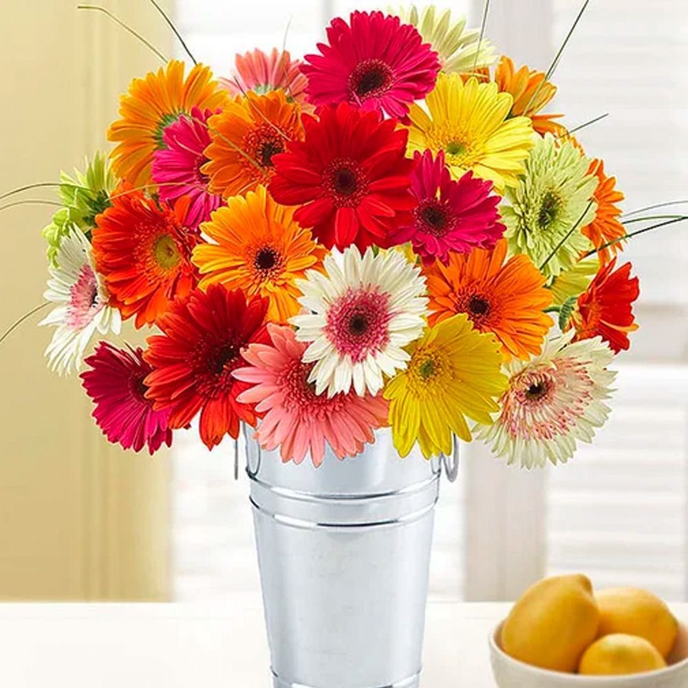 Gerbera Daisy Bouquet