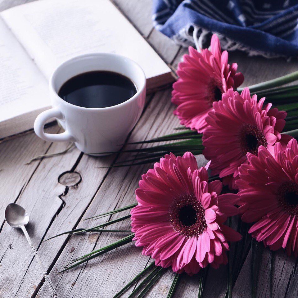 Герберы с добрым утром