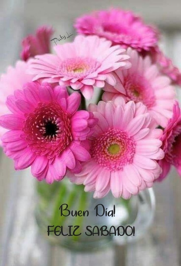 Доброе утро с герберами