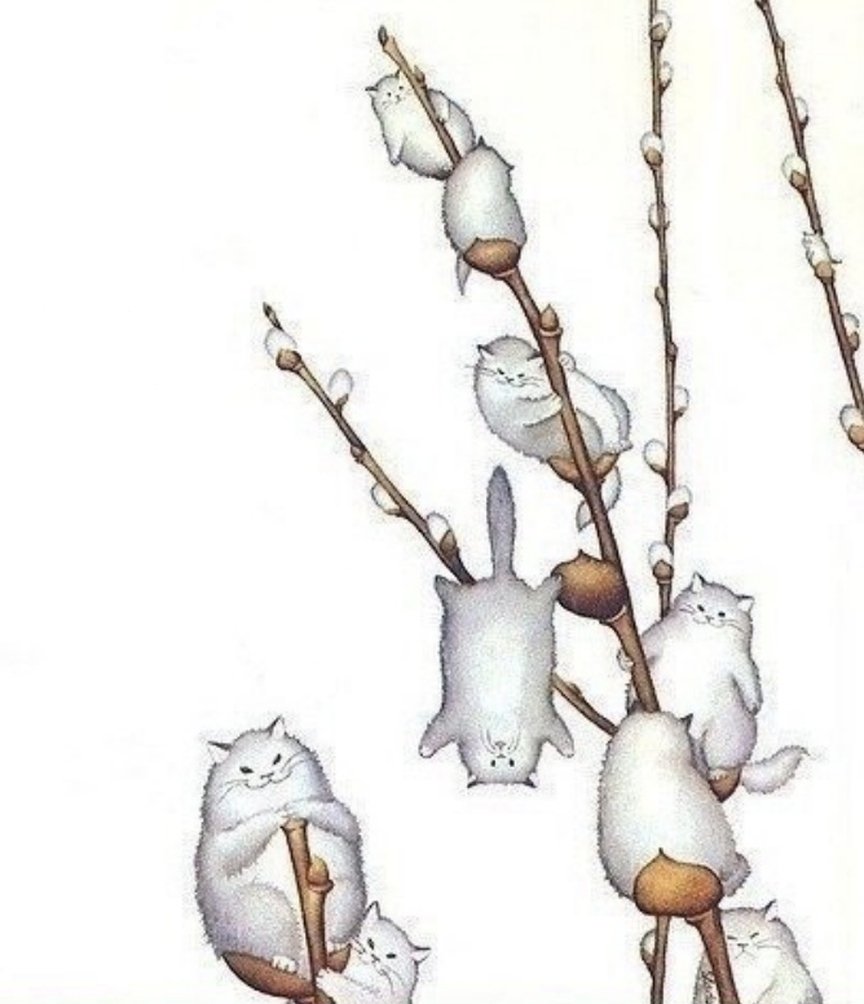 Верба котята