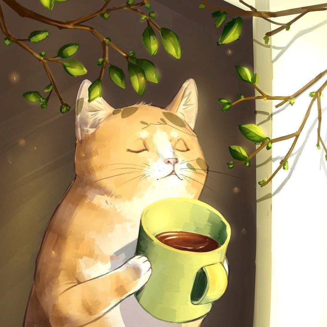Котик с чашкой кофе