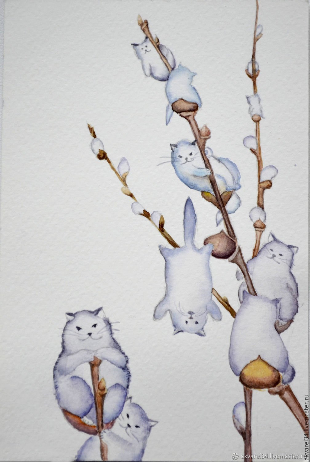 Верба и кошка