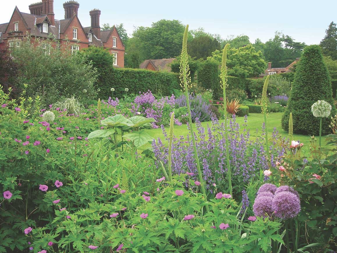 Травы английский сад