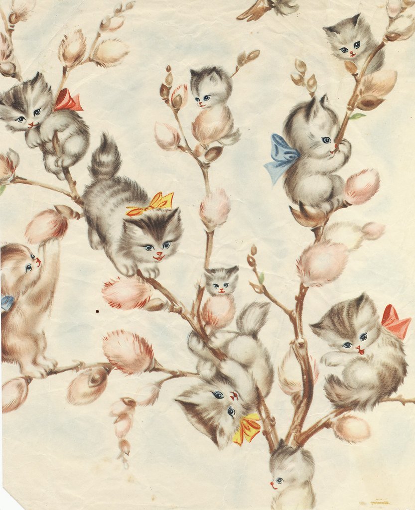 Котики Вербочки