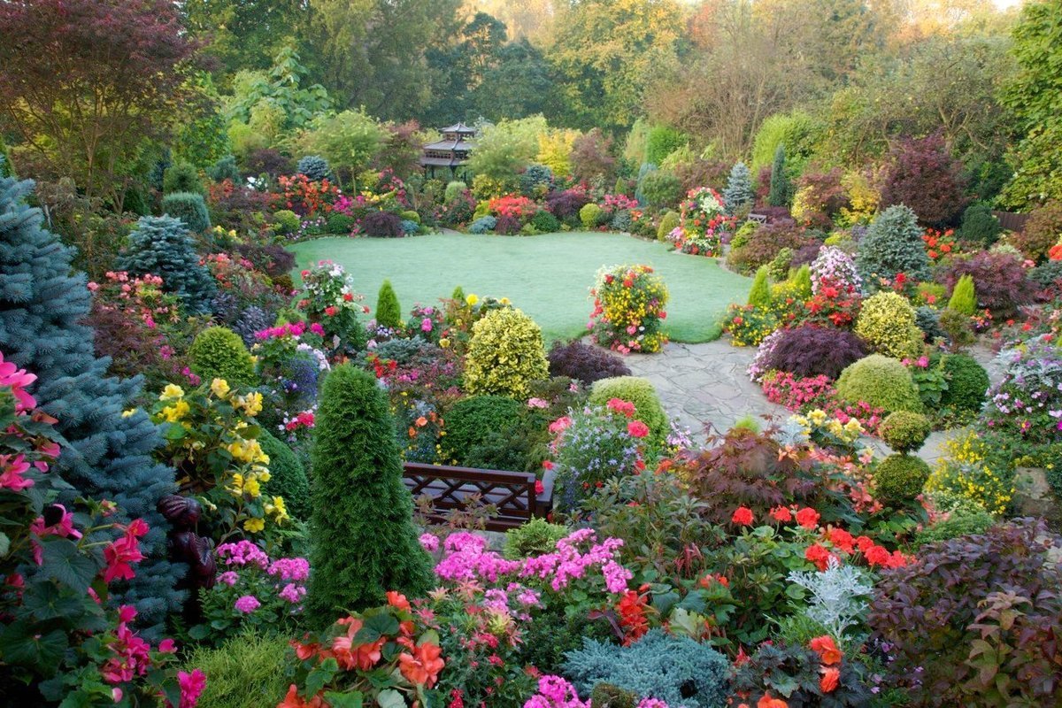 Регулярный сад Ильи Васецкого