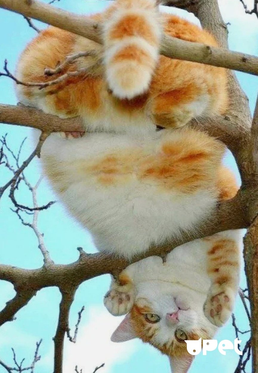 Смешное про весну