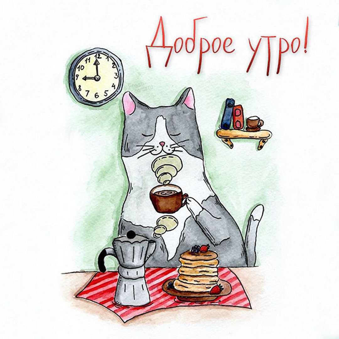 Котик с чаем