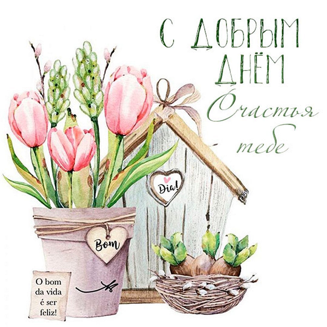 Картинки из пинтереста