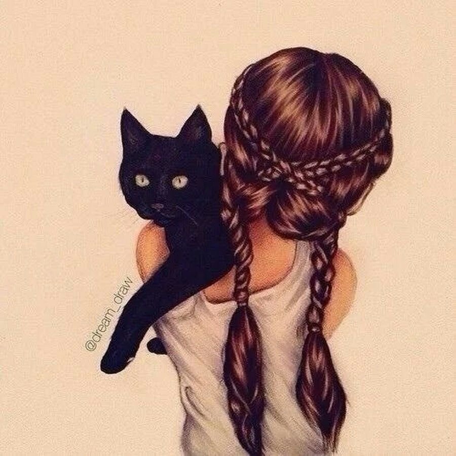 Двушка с котом рисунок