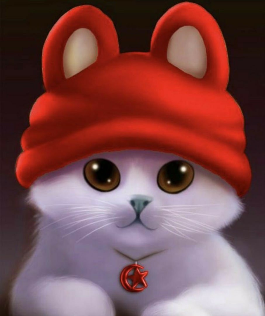 Соня Колосова