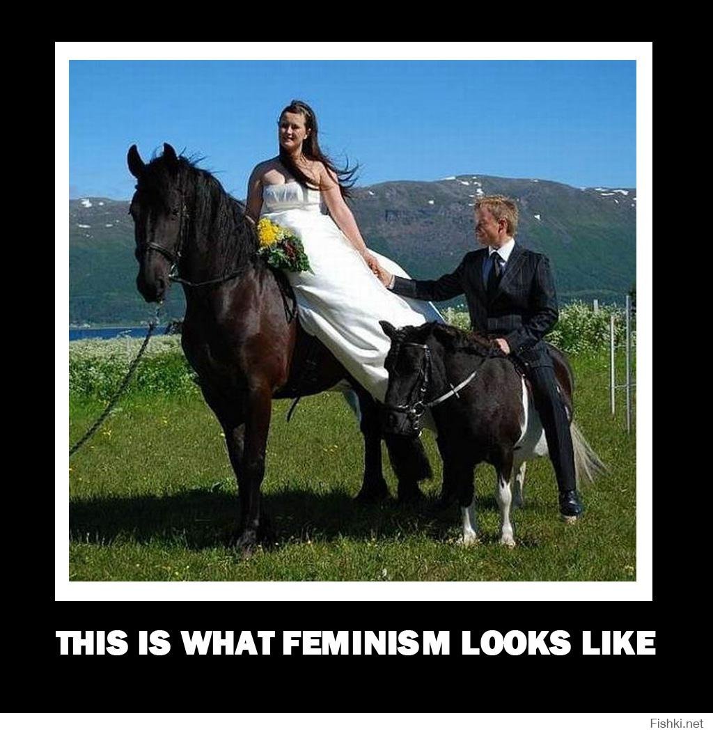 Лошадь и кот