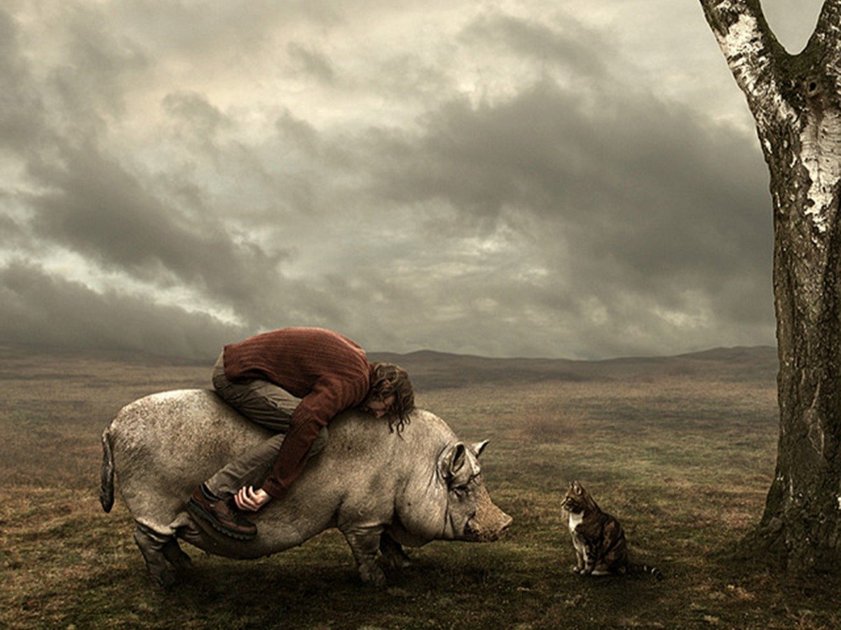 Мужик у окна прикол