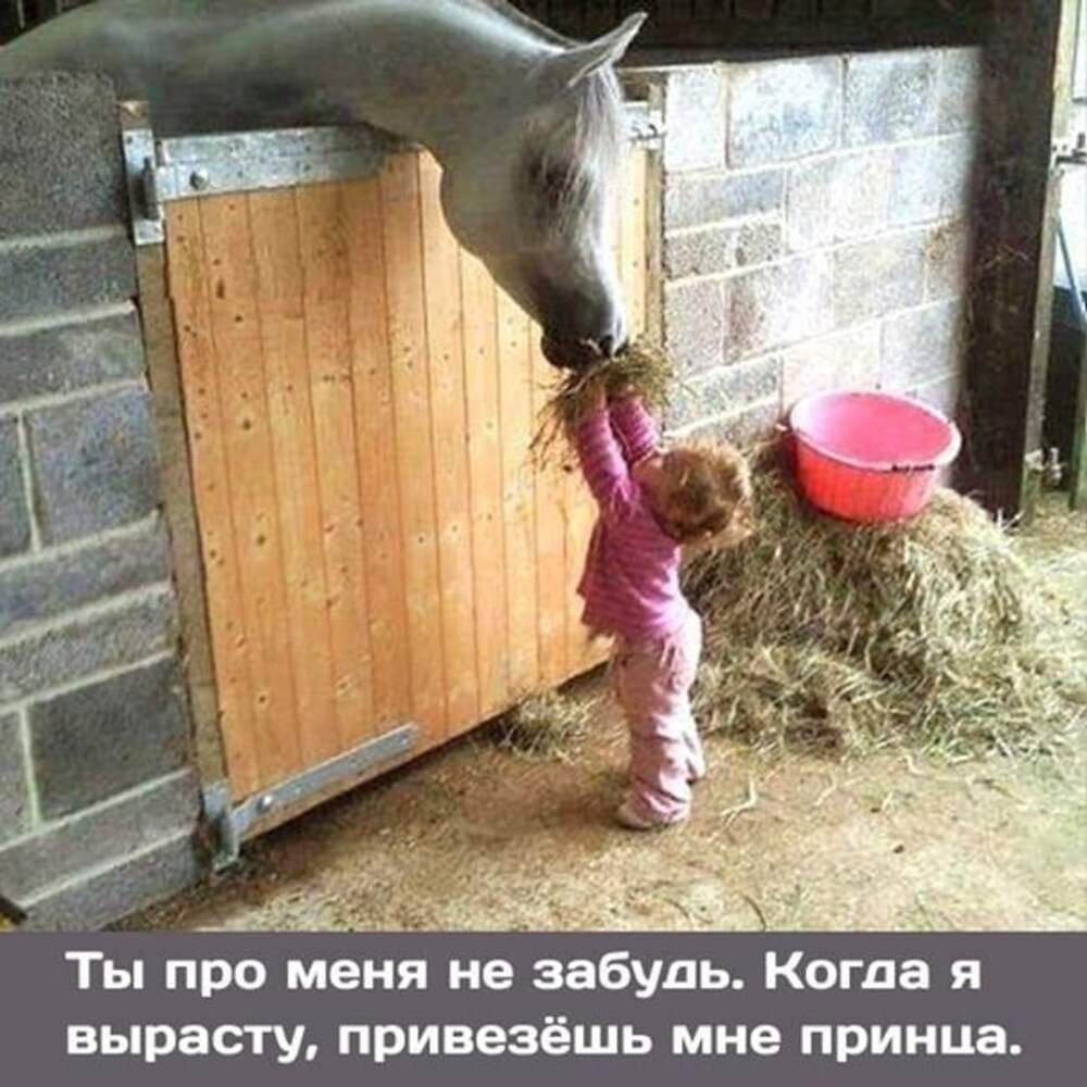 Том Хиддлстон рыцарь