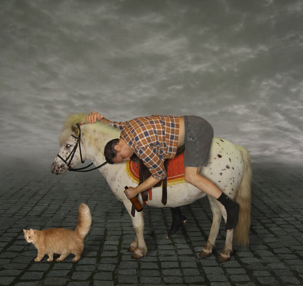 Карнавальный костюм принц на белом коне