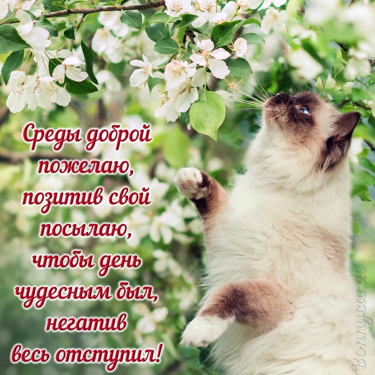 Ранняя Весна