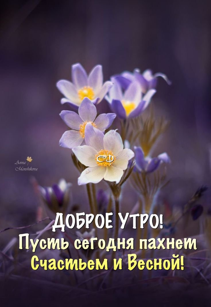 С добрым бодрым утром