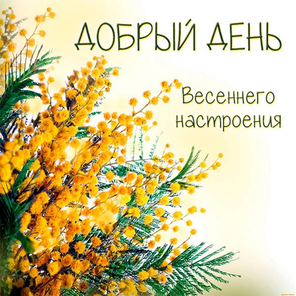 Доброе Воскресное утро Весна
