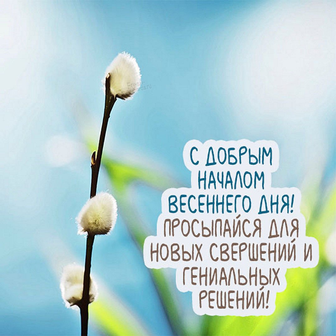 Спокойной весенней ночи с пожеланиями