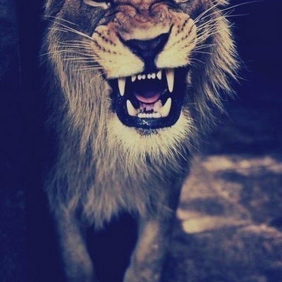 Грозные авы