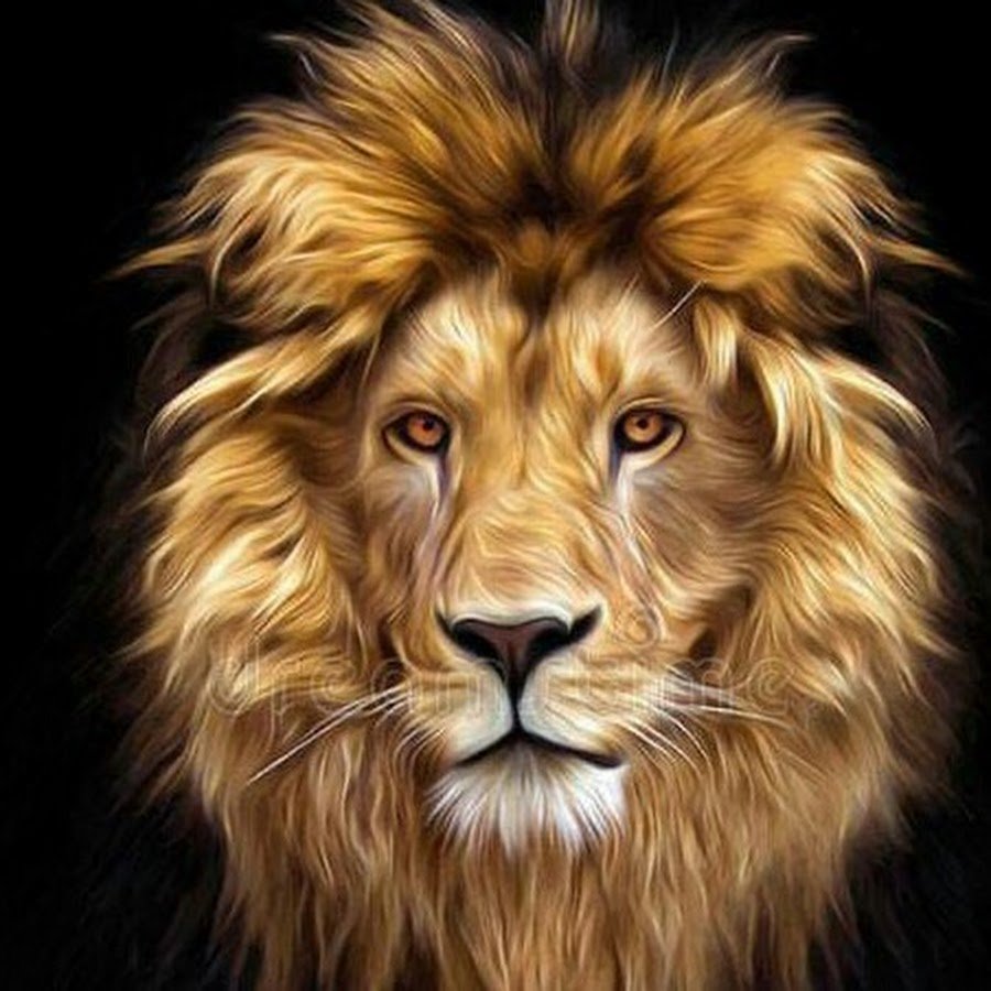 Голова Льва на темном фоне