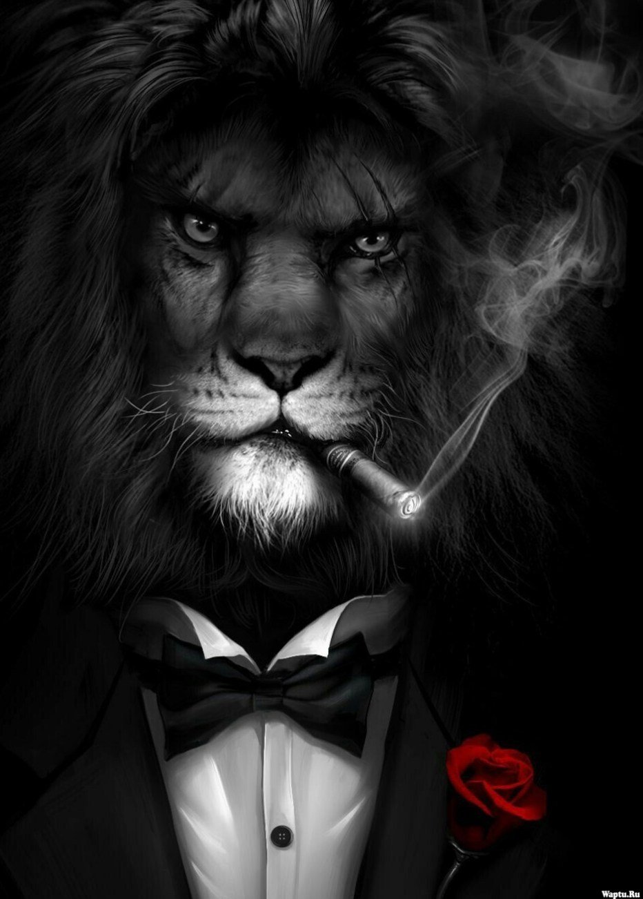 Костюм Льва