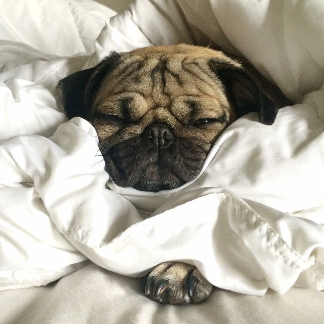 Сон Эстетика