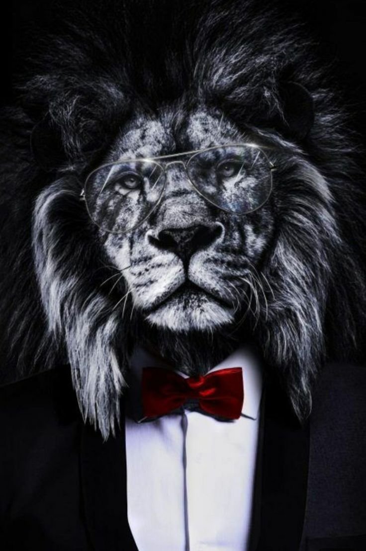 Постер "Лев в смокинге"