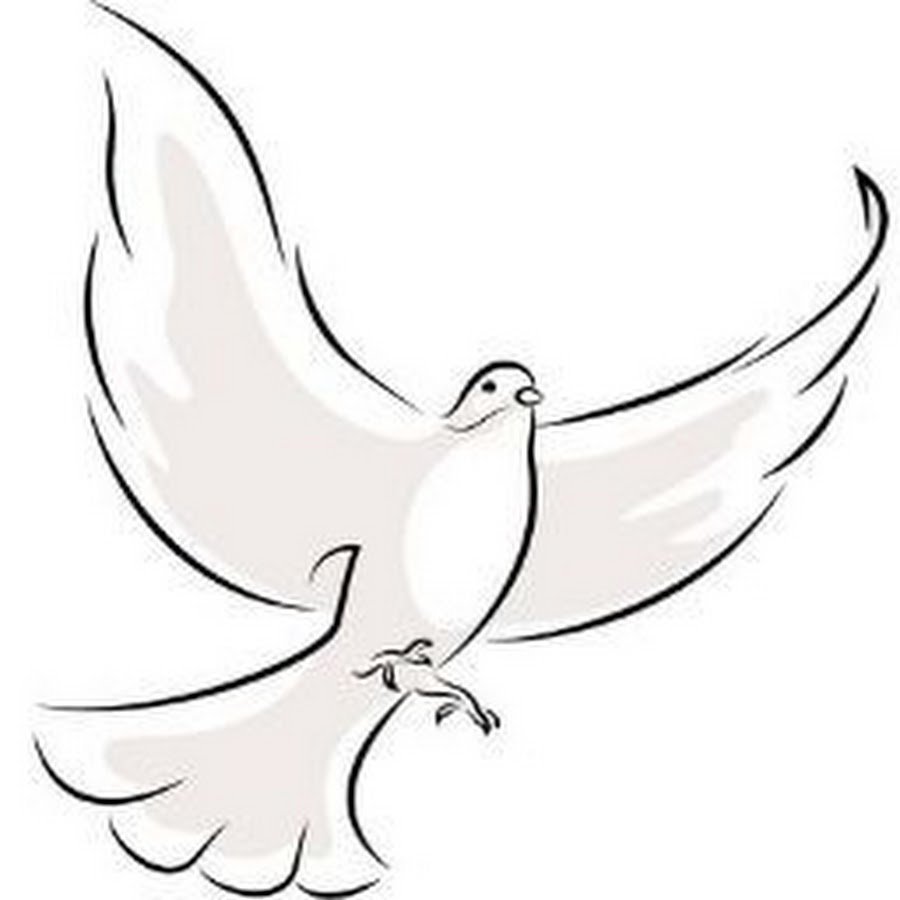 Белый статный голубь вектор