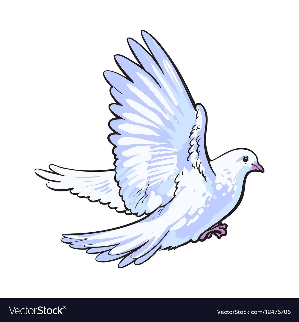 Нарисовать голубя