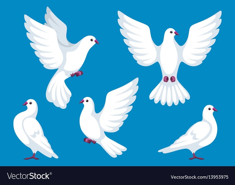 Голубь и Голубка цветной