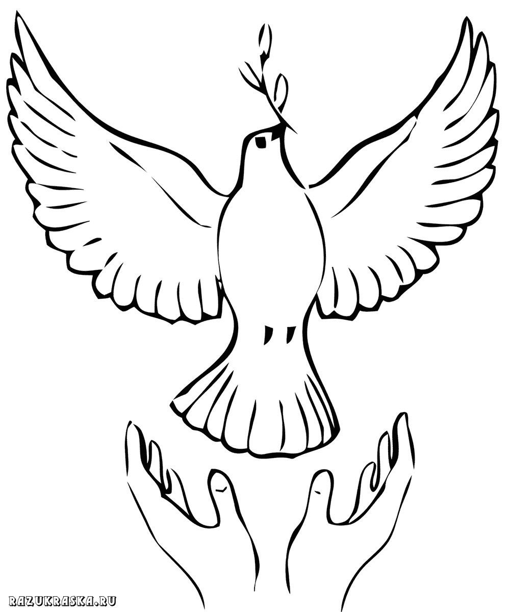 Голубь мира раскраска