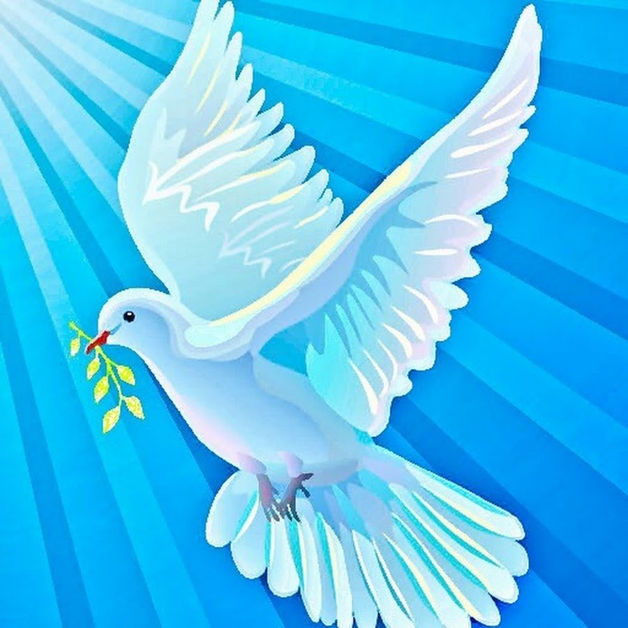 Птица мира на голубом небе