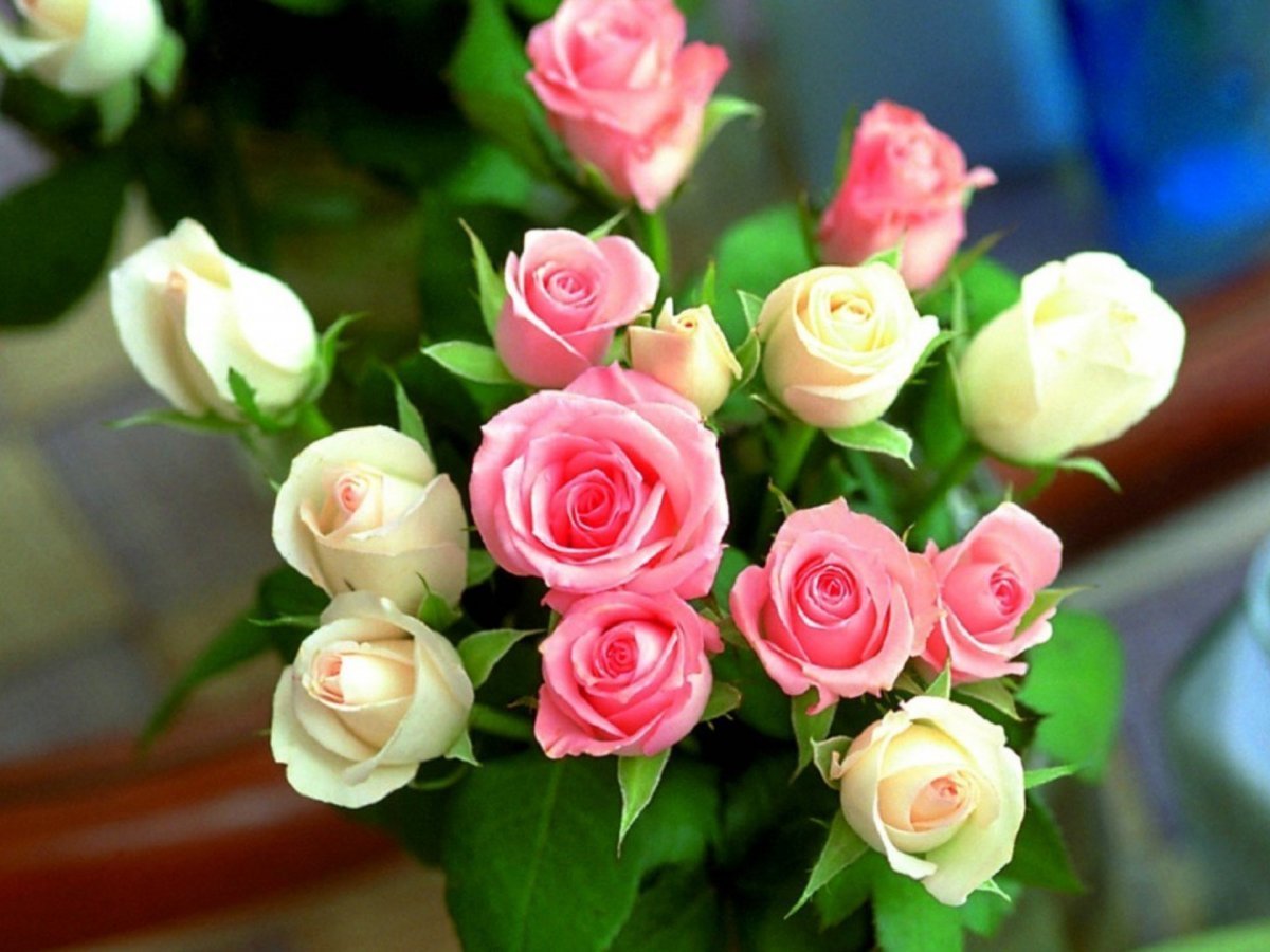 Маленькие розы