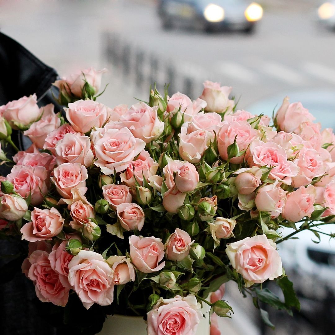 Роза кустовая Тринити