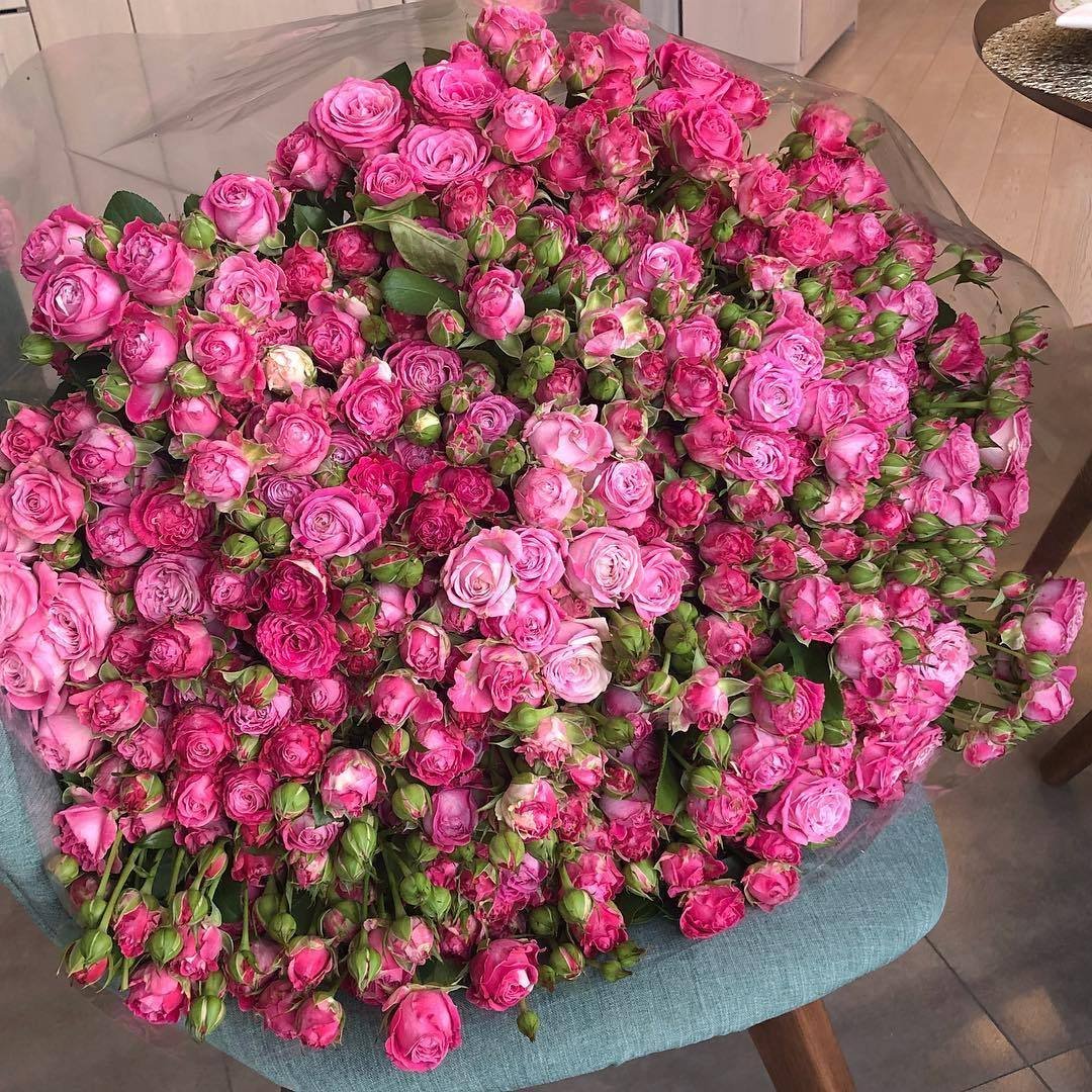 Кустовая роза бежевая