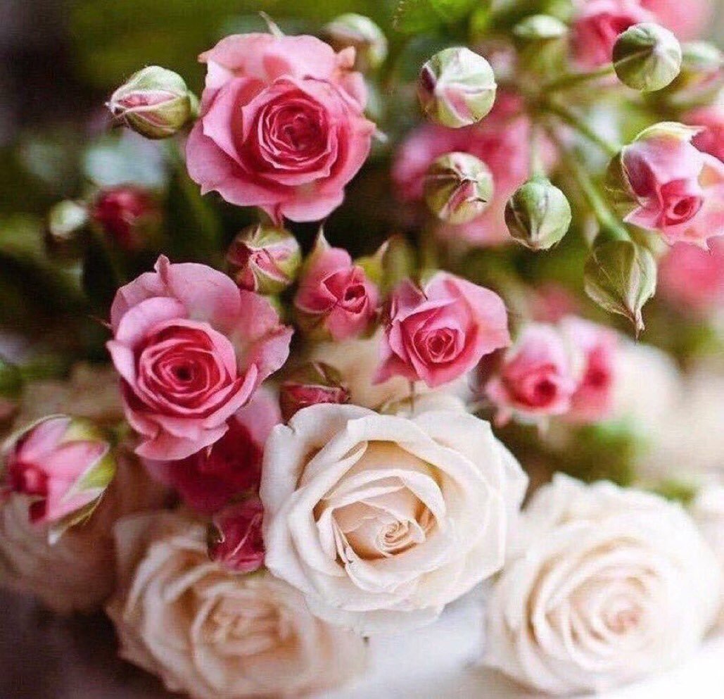 Мелкие розочки