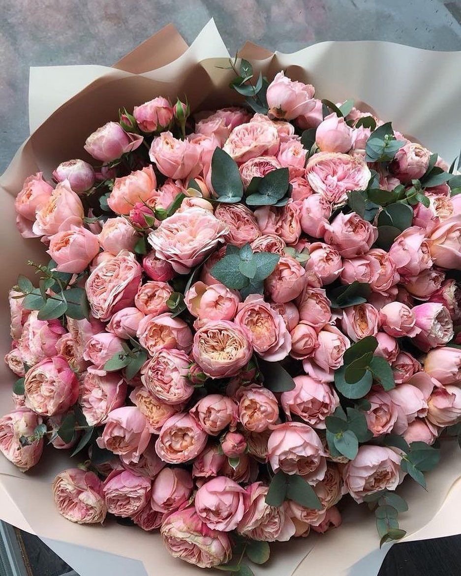 Мелкие розы