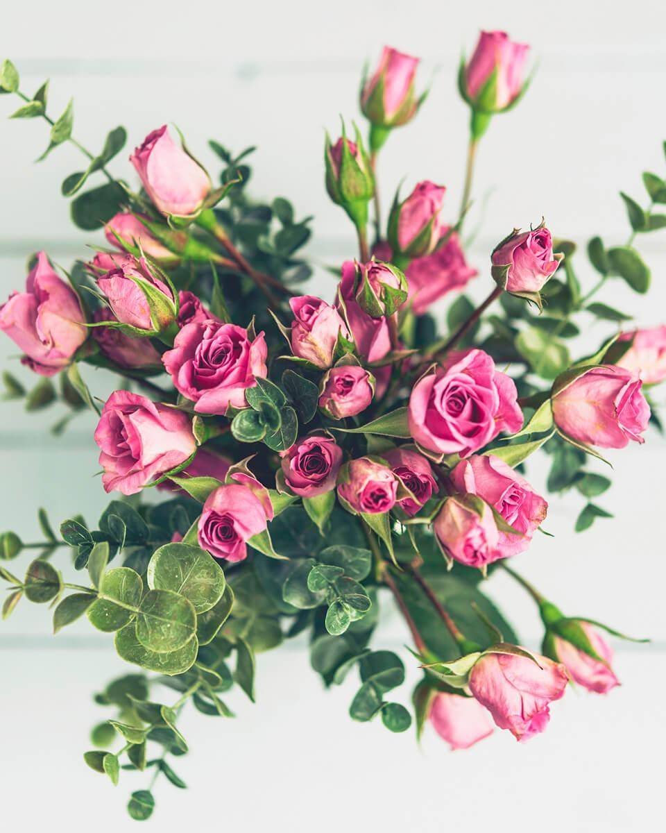 Роза флорибунда White Bouquet