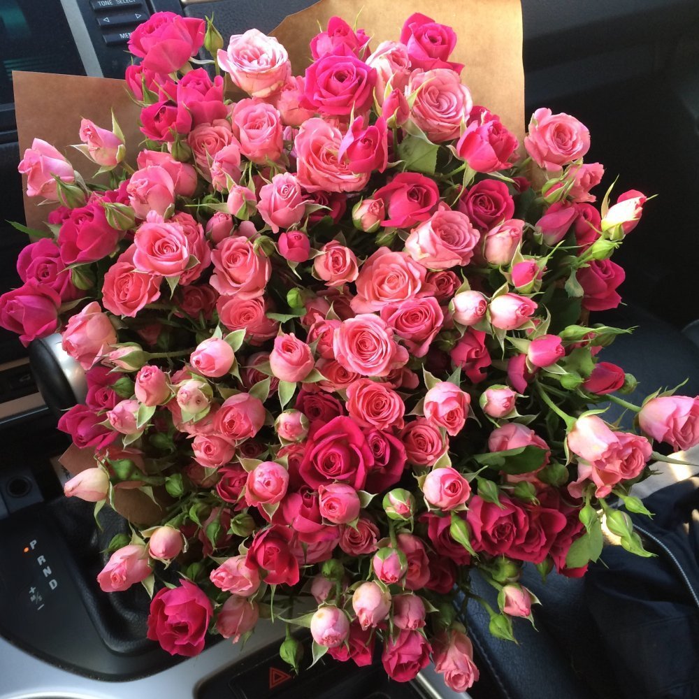 Кустовая роза Свит Сара