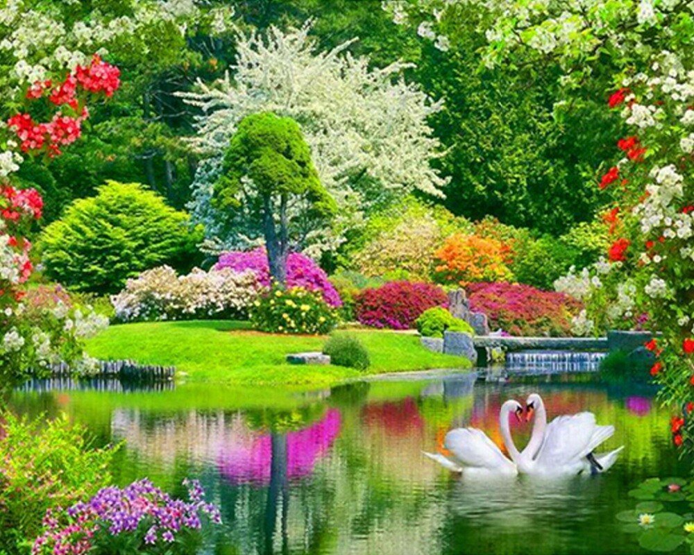 Весенний сад