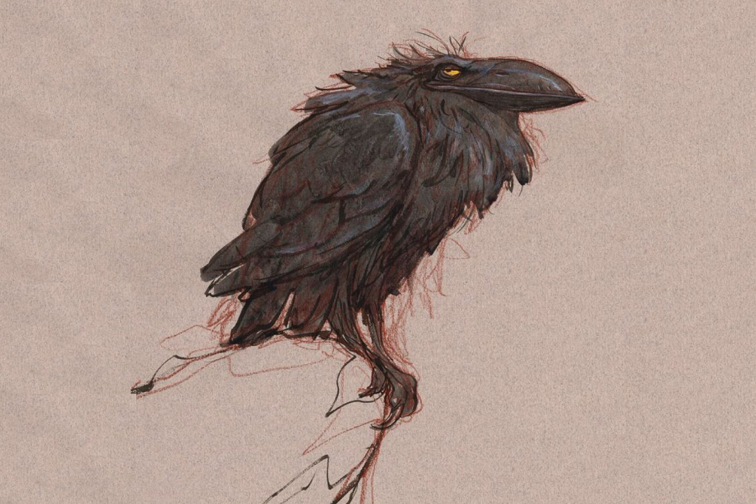 Злой ворон