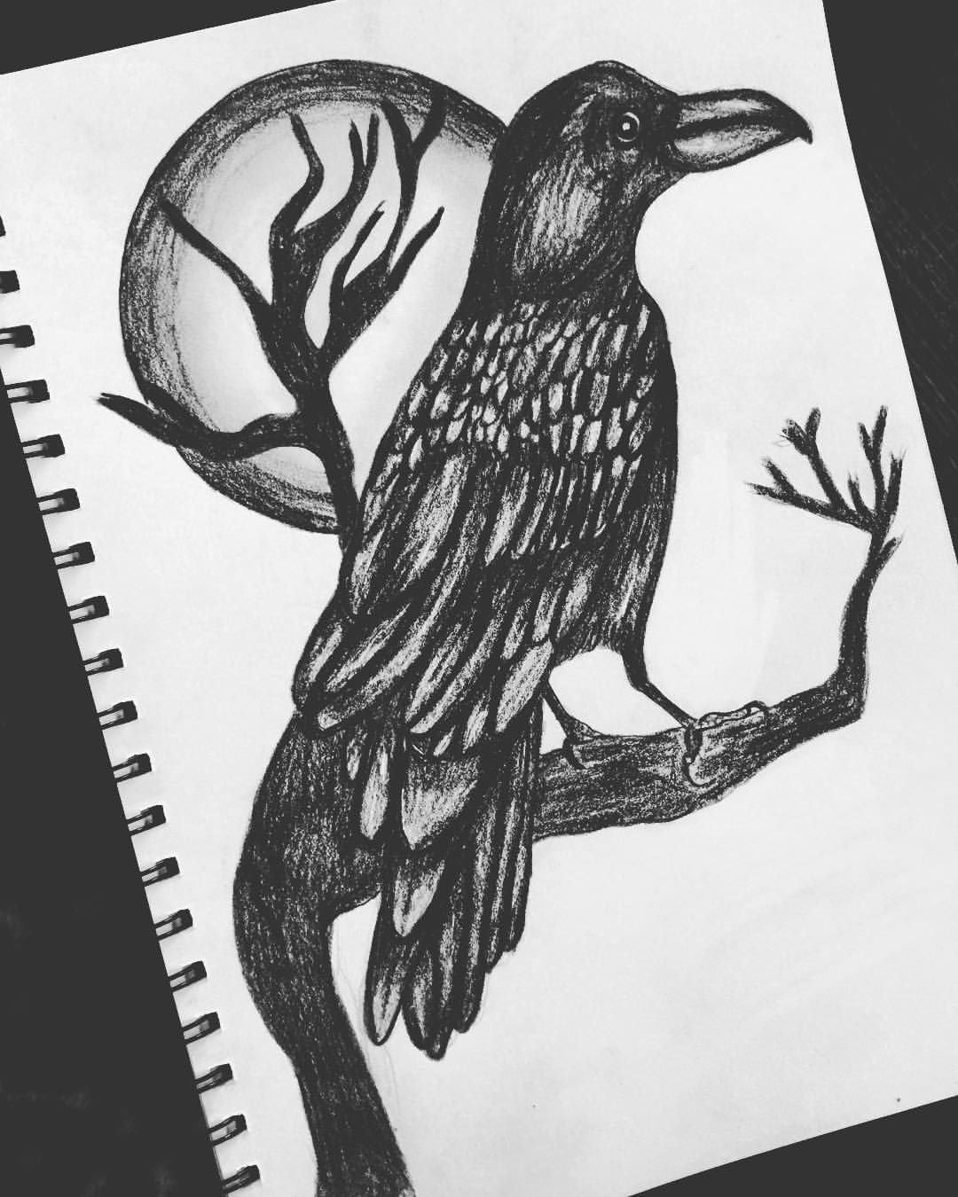 Ворон карандашом