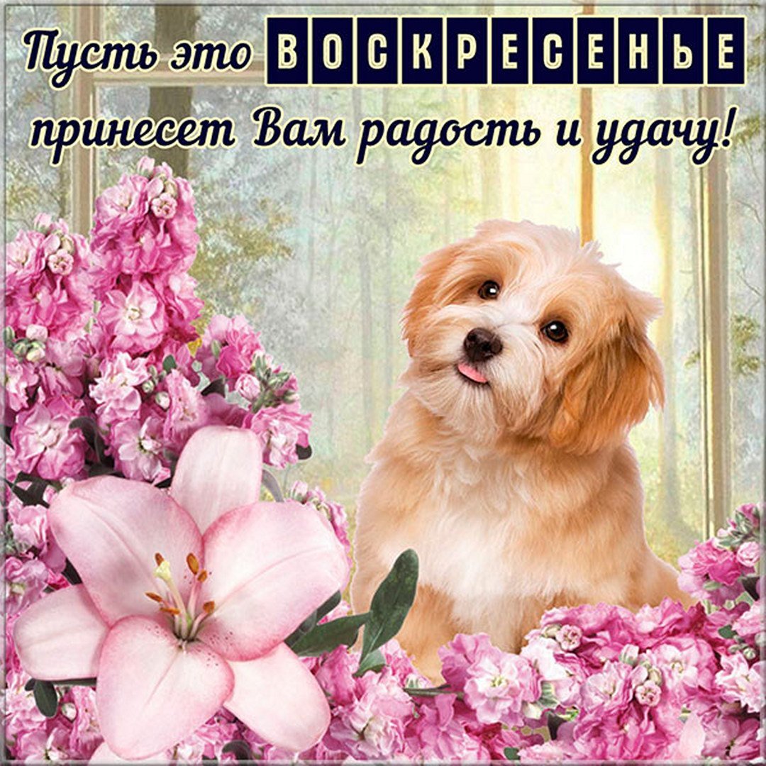 Поздравление с воскресеньем