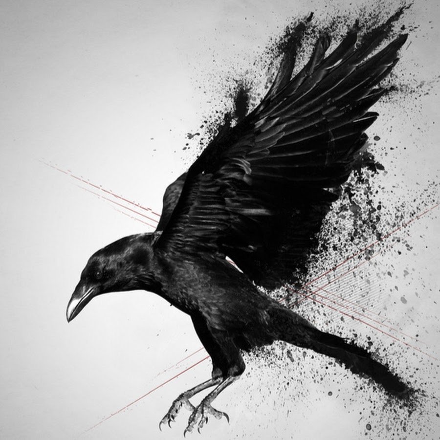 Ворон рисунок
