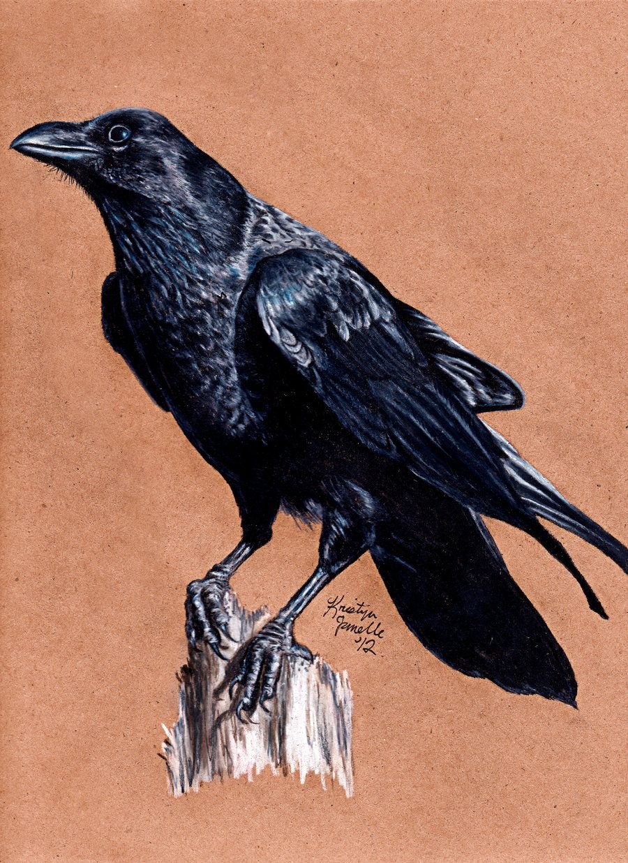 Цветная ворона