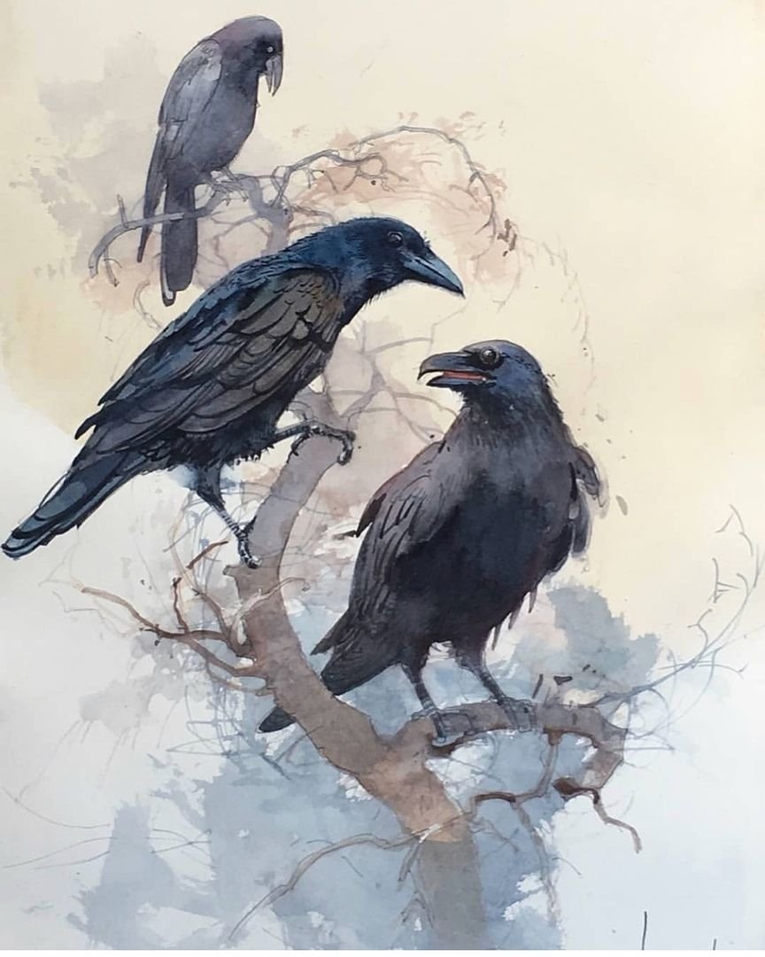 Ворон на ветке